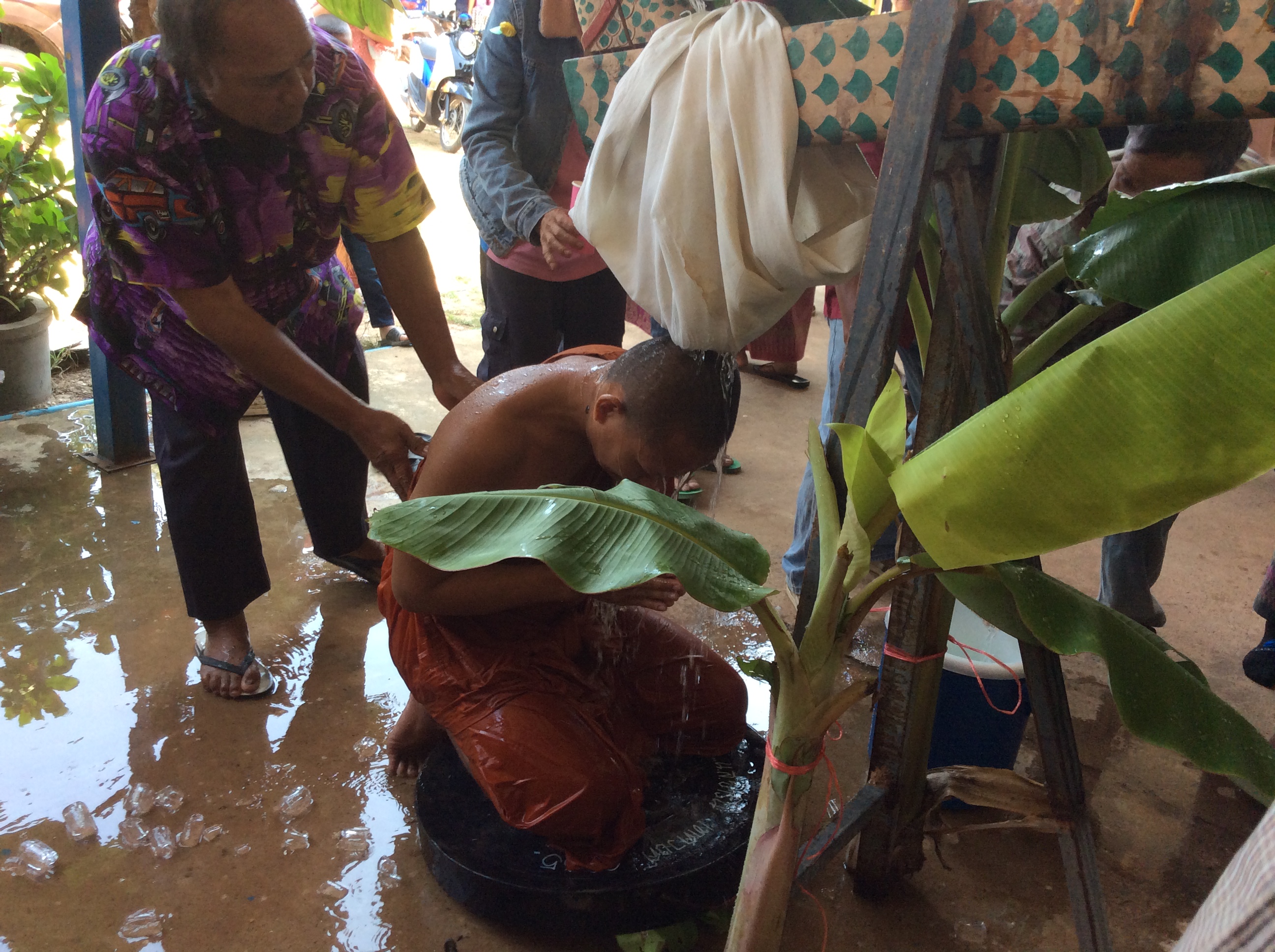 02477723 8B31 4695 BB60 171D1D9A19BF