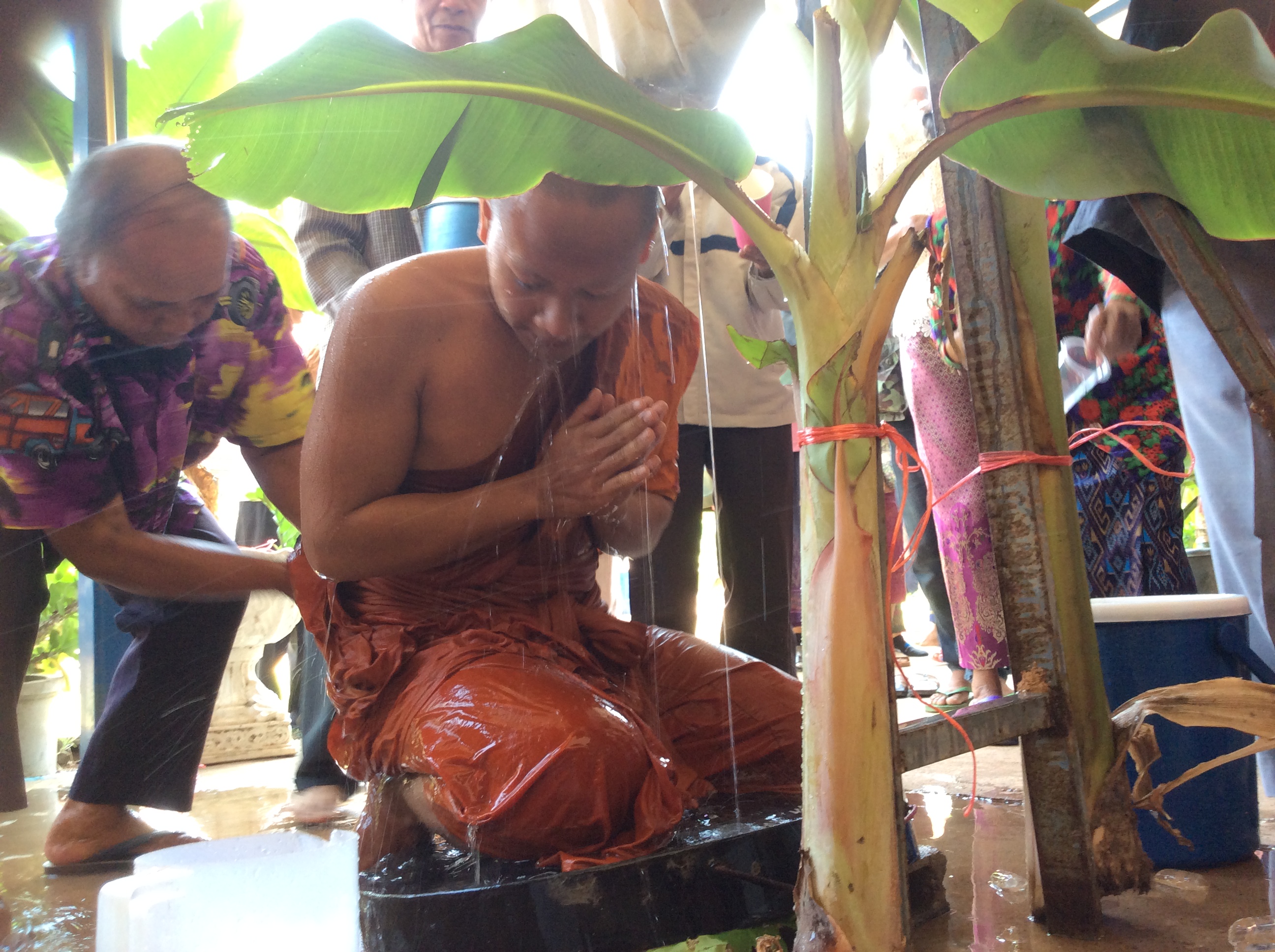 1A737A65 DA34 42B5 8080 296D233AA4F0