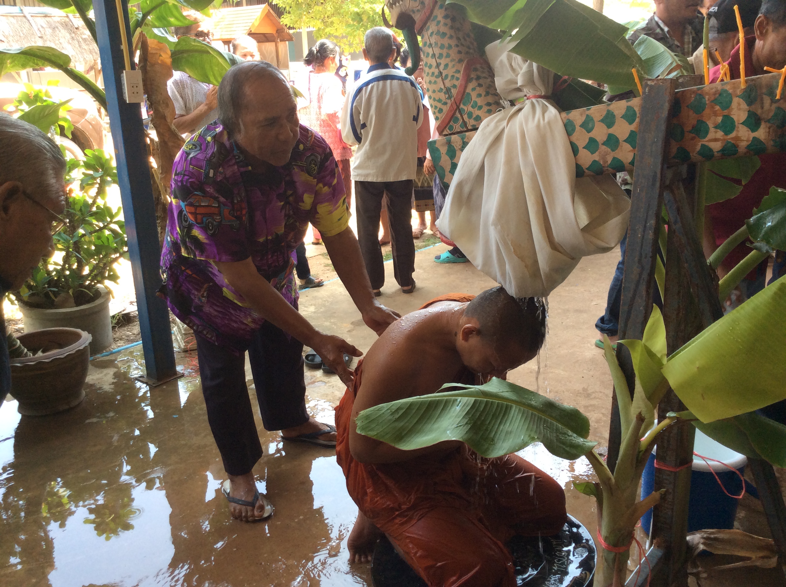 C538A5F6 33FA 4AA1 B0E2 876A6D40A9ED